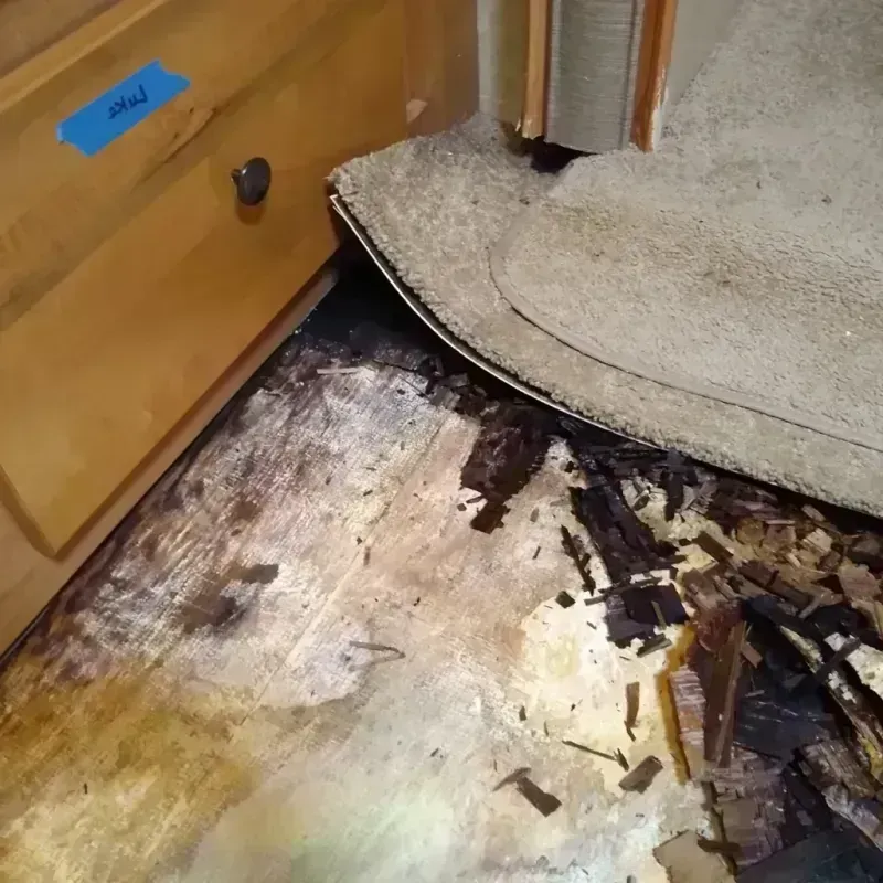 Wood Floor Water Damage in Olympia, WA